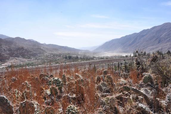 Vegetação espinhosa em El Pucará, em Tilcara, na Quebrada Humahuaca - Argentina